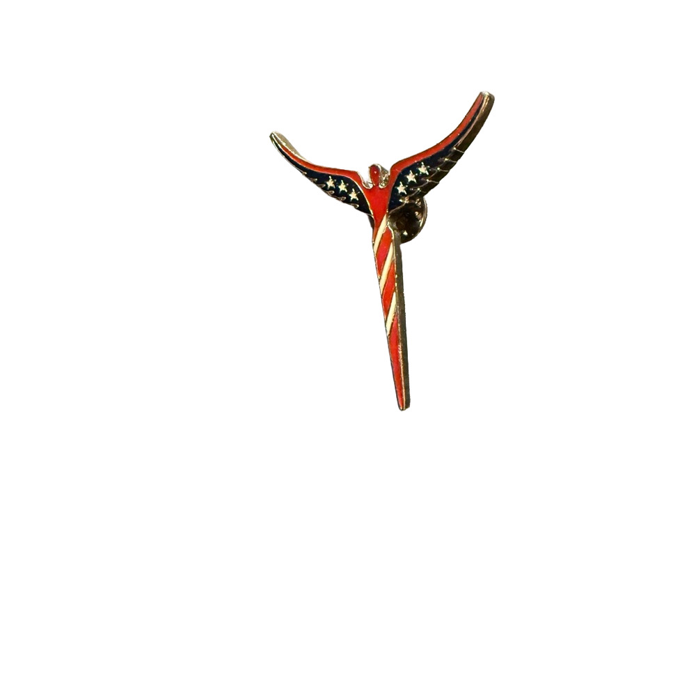Steven Lavaggi USA angel of reconciliation pin